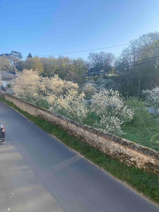 Gite Des Moriers Blois Bord De Loire Kültér fotó